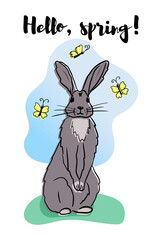 Shy grey hand drawn cartoon rabbit, buttterflies