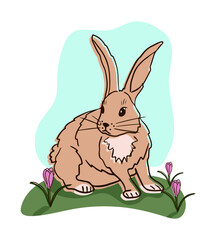 Cozy hand drawn beige cartoon rabbit with crocuses