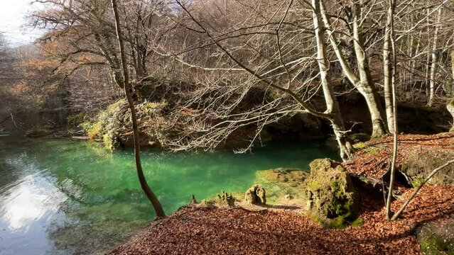 Turquoise waters of the Urederra river, in Navarra (Spain)