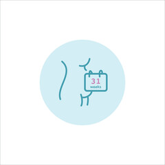 Thirty one weeks of pregnancy illustration. 31 weeks pregnant vector icon. Pregnant woman with calendar illustration. Seven months, third trimester