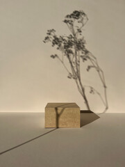 Square Podium on beige background. Product promotion.Pedestal with a cottonweed.Front view, studio...