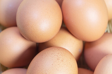 Close up of a group of eggs