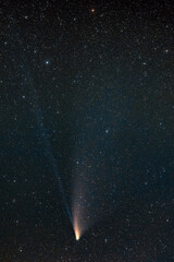 Comet C2020 F3, Neowise, bright nucleus and Comet's ion tail.