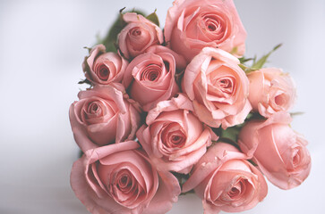 Obraz na płótnie Canvas bouquet of apricot/rose roses close up