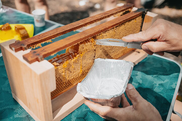 Fototapeta Knife cuts off sealed honeycomb and sweet honey flows out. Production nectar obraz