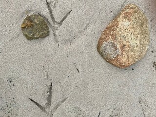 Foot prints and stones on the beach