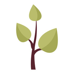 Flat vector illustration green leaf icon isolated on white background