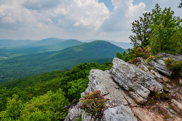 Fototapeta premium Amazing West Virginia Views, USA, West Virginia