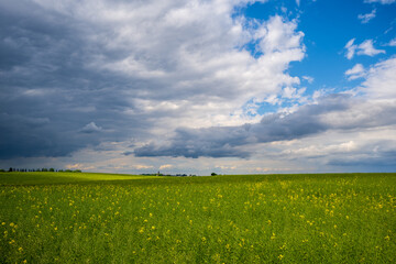 Wiosna na polach © Dariusz