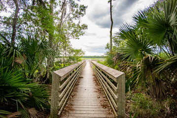 Board walk going towards a body of water during the summer time
