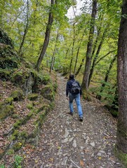 Obraz premium Man hiking at beautiful forest