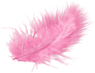 A fluffy beautiful feather pink