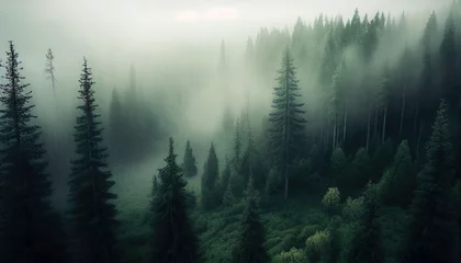 Poster Im Rahmen  foggy forest landscape view from above © neuralcanvas