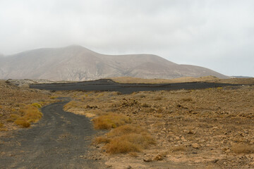 Old volcanic land with agricultural land covered with typical black lava gravel