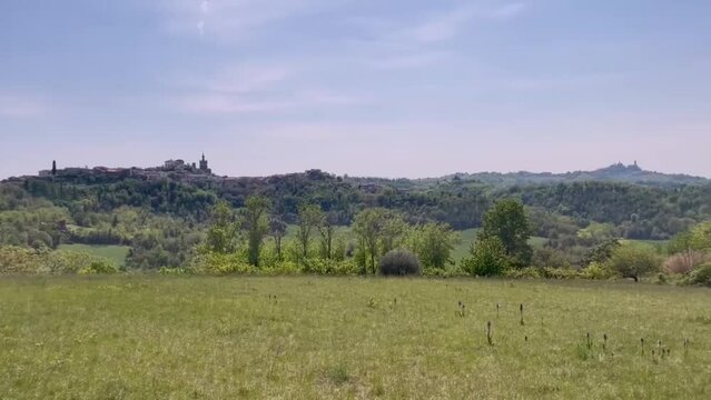 A large green meadow