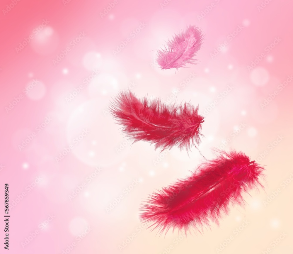 Canvas Prints Fluffy feather in Viva Magenta modern color