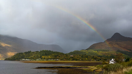 Scottish HIghland Rainbow