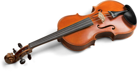 Fototapeta na wymiar Classic string musical instrument Violin