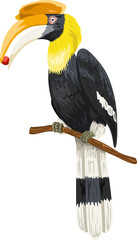 Hornbill on a branch illustration