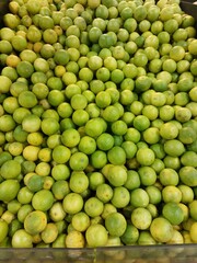 LIMON CRIOLLO PANAMEÑO