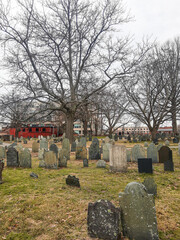 Naklejka premium graveyard and cemetery