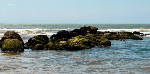 Photo taken on the beach of Caraguatatuba, S&atilde;o Paulo, Brazil.