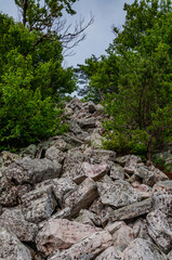The Final Ascent to the Summit on a Spring Afternoon, West Virginia USA, West Virginia