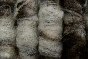 Close-up of rolags of brown and white sheep's wool, arranged beside each other. Natural, neutral...