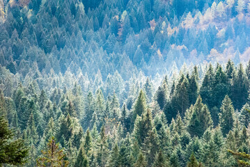 Wonderful panoramic view of the Trentino landscape during a beautiful daylight.