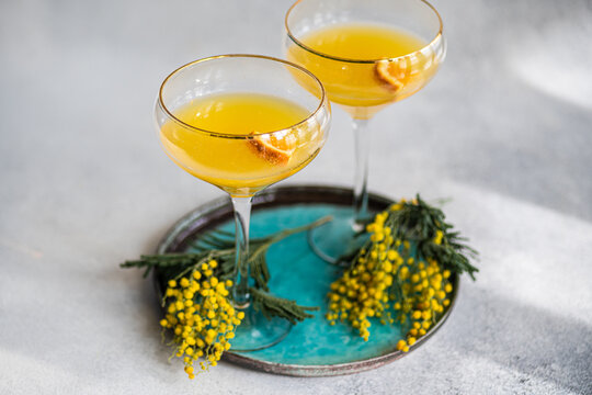 Close-up of two champagne mimosa cocktails with yellow mimosa flowers