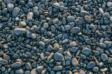 Stony beach hit by rising sunlight