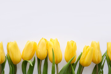 Flowers composition. Yellow tulip flowers on soft white background. Spring, summer concept