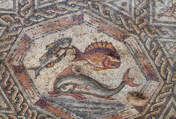 Fish on fragment of Lod Mosaic, famous Roman mosaic floor in Lod town in Israel, displayed in Shelby White and Leon Levy Lod Mosaic Center. Mosaic depicts land animals, fish and two Roman ships.