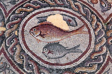Fish on fragment of Lod Mosaic, famous Roman mosaic floor in Lod town in Israel, displayed in Shelby White and Leon Levy Lod Mosaic Center. Mosaic depicts land animals, fish and two Roman ships.