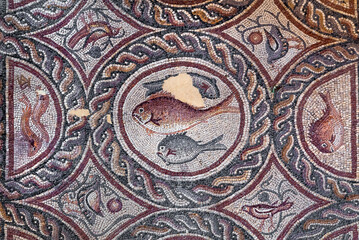 Fish on fragment of Lod Mosaic, famous Roman mosaic floor in Lod town in Israel, displayed in...