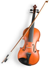 Obraz na płótnie Canvas Classic string musical instrument Violin