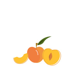 Peach vector illustration on white background with copy space. 