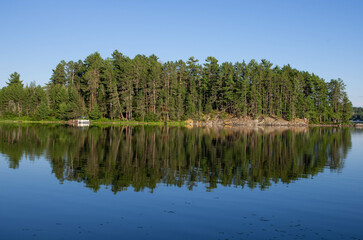 Forest reflected in calm lake water