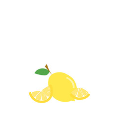 Lemon fruit isolated on a white background. Vector illustration with copy space. 