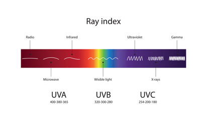 Ray index