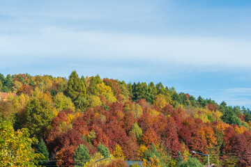 Autumn colors in the mountain