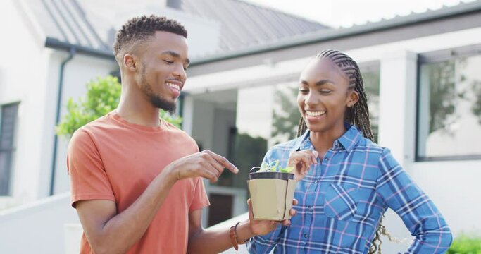 Happy african american couple with plant sprout in backyard