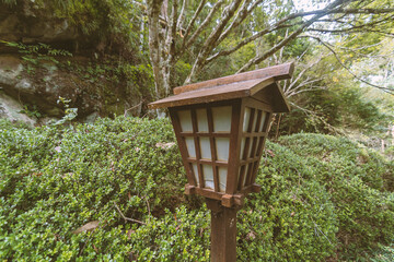 Wooden Japanese lantern in the garden. Tropical vegetation.
