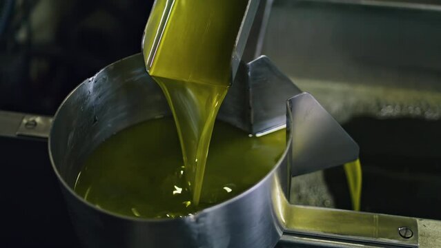 Olive oil production process at food manufactory close up. 