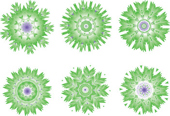 A set of beautiful decorative flowers. Vector file for designs.