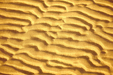 Golden yellow sand dunes texture Natural background 