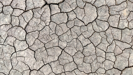 The texture of the earth with cracks. Background