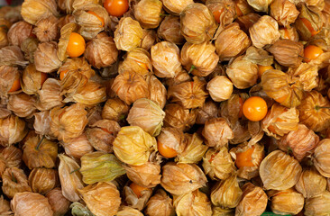 Cape gooseberry (Physalis peruviana) for sale at market