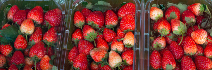 Strawberries in a plastic box for sale in the market.