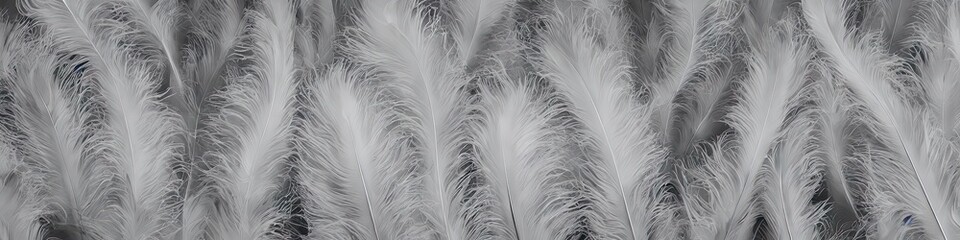 Soft white feathers - bright and vibrant feathers in a panoramic extra wide banner image by generative AI
